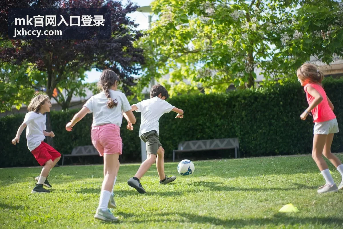 mk官网入口登录 移动端通道与浏览器设置说明